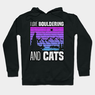 I Love Bouldering And Cats, Cat Owners And Rock Climbing Lovers Hoodie